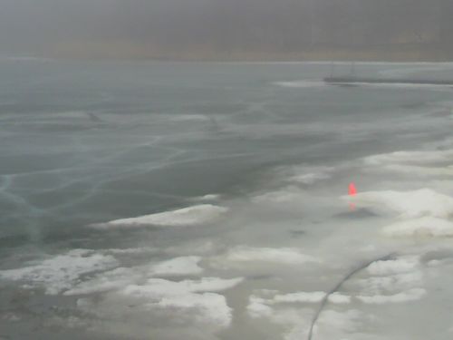P1000088.jpg