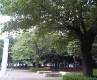 武蔵野公園3
