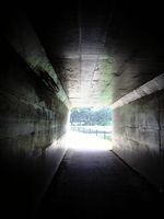 野川公園のトンネルを抜けると武蔵野台公園