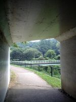 野川公園から武蔵野台公園へ行く通路