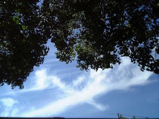 20070623白鳥座のような雲。