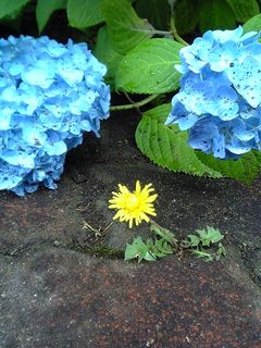 「あらら。重すぎて地面に付いちゃいましたか。」「はい。。」