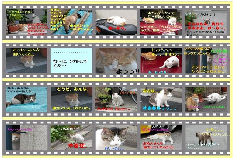 Sho-in-cats story 2008