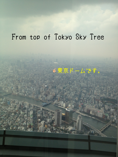 東京ドームがみえる 東京ドームがみえる