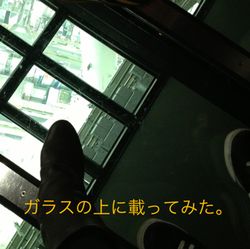 ガラスに載った ガラスに載った