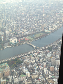 桜橋が見える