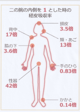 経皮吸収率